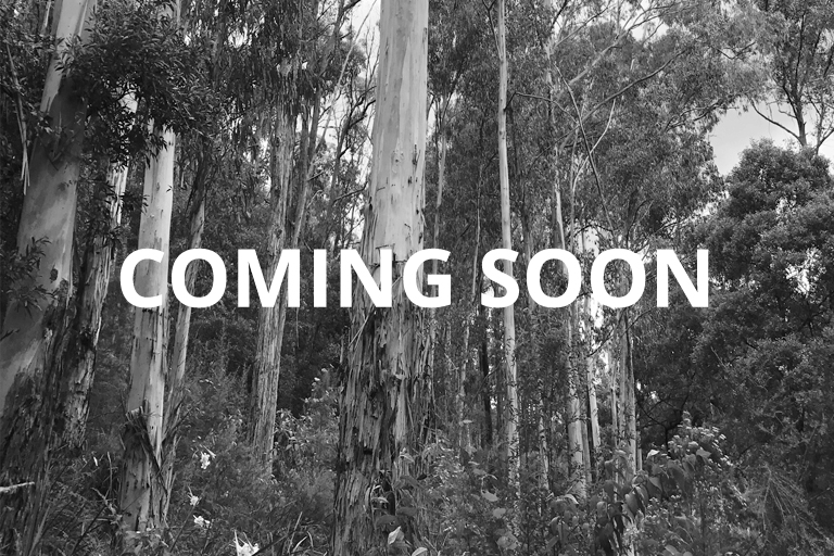 coming-soon-bush-retreat